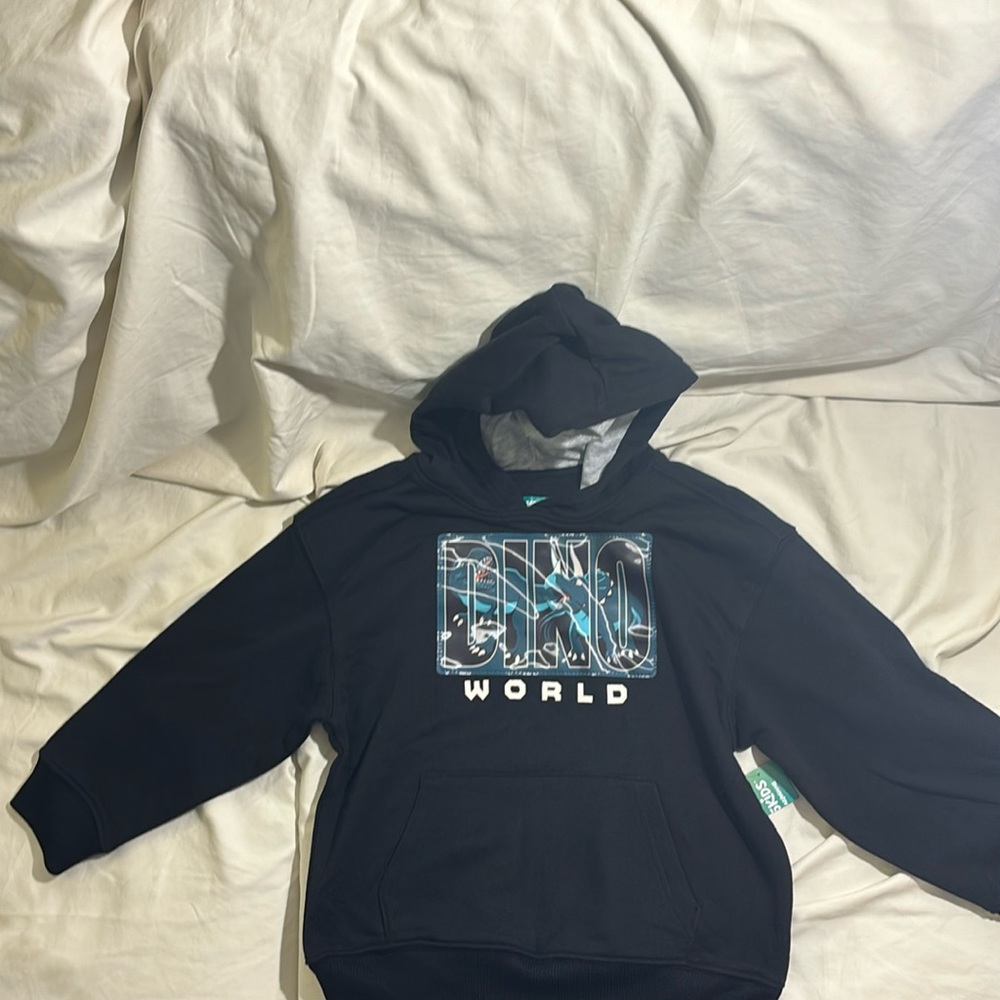 Boys 8 Dinosaur Hoodie Sweatshirt